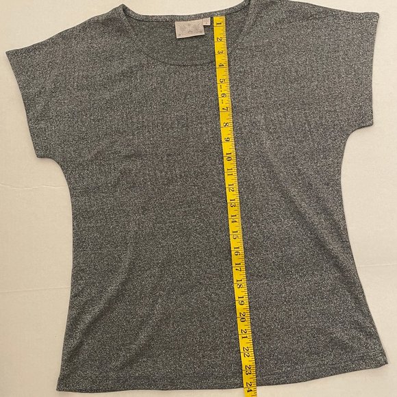 Dantelle Silver Grey Metallic Shimmery Light Shirt Short Sleeve Scoop Neck Small - Picture 3 of 5
